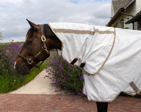 Derka siatkowa przeciw owadom Kentucky Horsewear Multifunctional Summer Sheet
