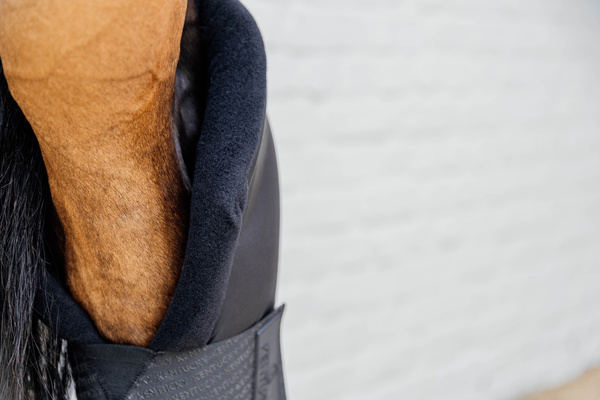 Ochraniacze stajenno-transportowe z osłoną stawu skokowego Kentucky Horsewear Stable Boots PROtect Long Hind with Hook Protection