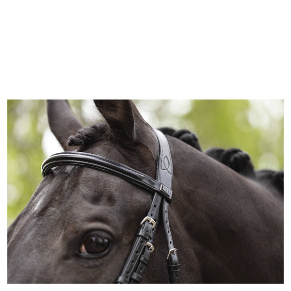 Ogłowie z nachrapnikiem kombinowanym ANKY® Shaped