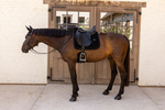 Czaprak ujeżdżeniowy Kentucky Horsewear Velvet Mini Pearls
