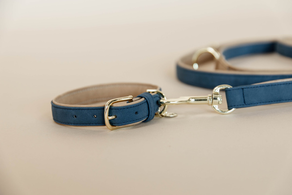 Obroża dla psa Kentucky Dogwear Soft Vegan Leather