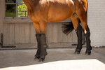 Ochraniacze transportowe dla konia Kentucky Horsewear Travel Boots