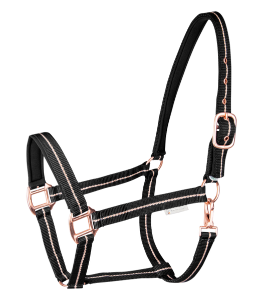 Kantar Waldhausen Rose