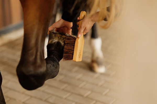 Szczotka do kopyt Grooming Deluxe