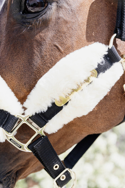 Kantar z futrem syntetycznym Kentucky Horsewear Nylon Sheepskin Halter Soft