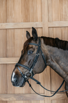 Ogłowie z nachrapnikiem angielskim Dy'on Working Collection WOAPG