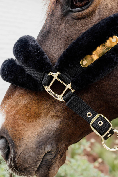 Kantar z futrem syntetycznym Kentucky Horsewear Nylon Sheepskin Halter Soft