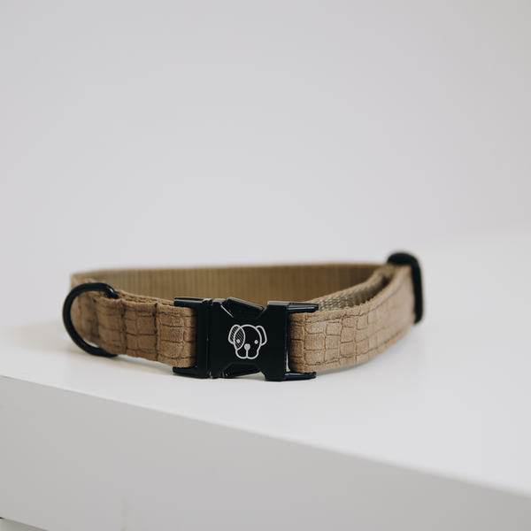 Obroża dla psa Kentucky Dogwear Lizard