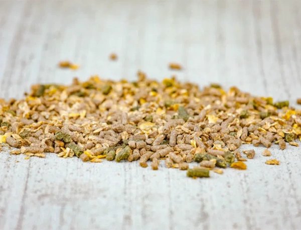 Pasza bez owsa dla koni rekreacyjnych Cavalor Tradition Mix 20kg