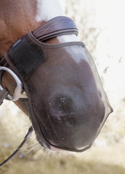 Maska na chrapy Kentucky Horsewear