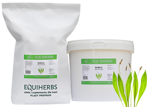 Babka lancetowata EQUIHERBS