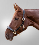 Kantar skórzano-sznurkowy Waldhausen Royal 