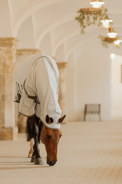 Derka siatkowa przeciw owadom z kapturem dla koni z egzemą Kentucky Horsewear Eczema Rug