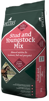 Musli dla klaczy hodowlanych, źrebiąt i młodzieży SPILLERS Stud & Youngstock Mix 20kg