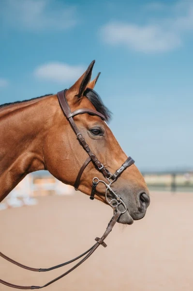 Ścięgierz FAGER Julia Sweet Iron - podwójnie łamane
