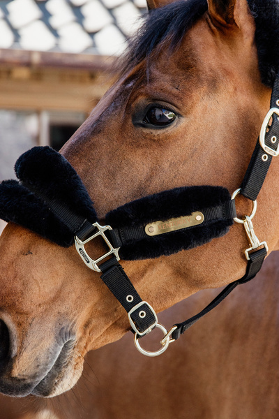 Kantar z futrem syntetycznym Kentucky Horsewear Nylon Sheepskin Halter Soft