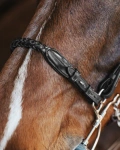 Pasek do wędzidła hackamore Fager Richard 