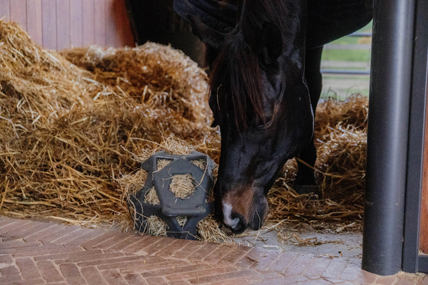Piłka na siano dla konia Kentucky Horsewear Relax Horse Play & Hay Ball