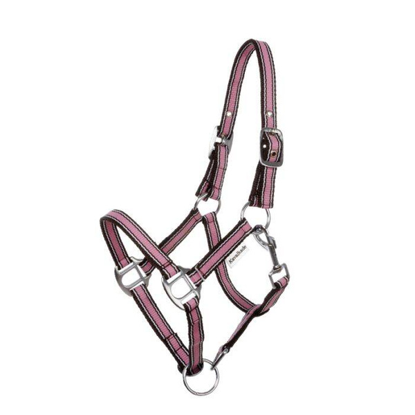 Kantar Kavalkade Shetty