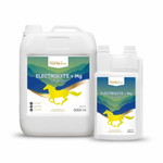 Elektrolity z magnezem w płynie HorseLine