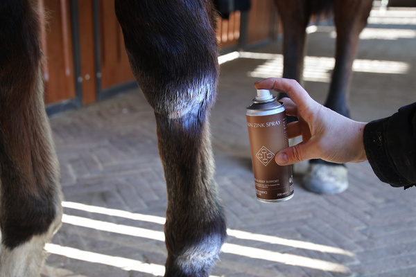 Cynk z sprayu Grooming Deluxe