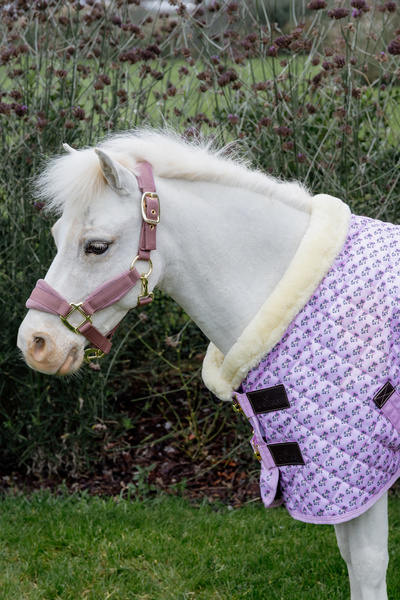 Derka stajenna dla kucyków Kentucky Horsewear Show Rug Sammy 160g