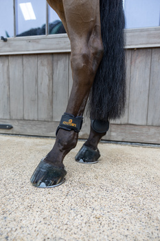 Ochraniacze tylne Kentucky Horsewear Young Horse Classic