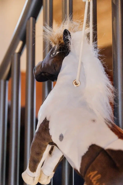 Zabawka dla konia do boksu Kentucky Horsewear Alvin