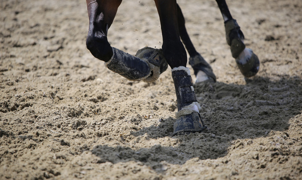 Ochraniacze treningowe z futrem na przednie nogi Kentucky Horsewear Turnout Boots Solimbra
