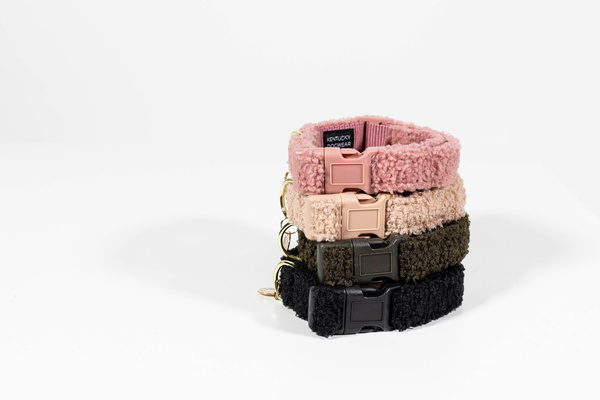 Obroża dla psa Kentucky Dogwear Teddy