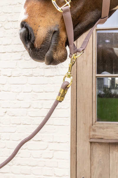 Uwiąz Kentucky Horsewear Lead Rope Basic
