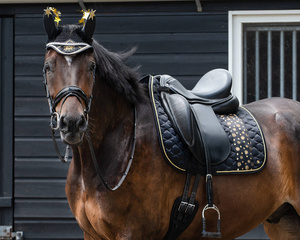 Ozdoba QHP Celebrate