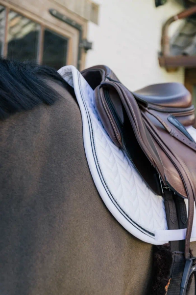 Czaprak skokowy Kentucky Horsewear Metal Chain