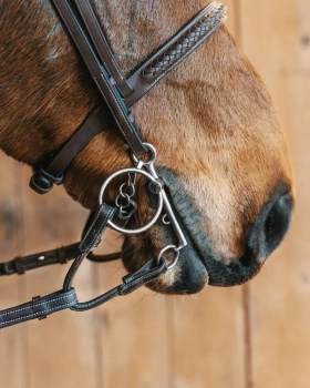 Łącznik do pelhamu Fager Delta