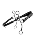 Czanki Hackamore Fager Hunter 