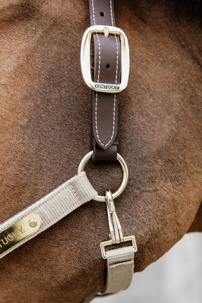 Kantar anatomiczny Kentucky Horsewear Anatomic Nylon