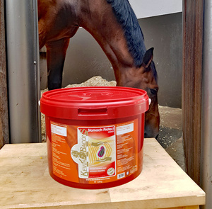 Suplement wspierający układ pokarmowy koni Kevin Bacon’s Stomach-Protek Assist