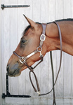 Uwiąz z łańcuszkiem pokrytym skórą syntetyczną Kentucky Horsewear Leather Covered Chain Lead