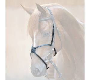 Nachrapnik meksykański Kavalkade