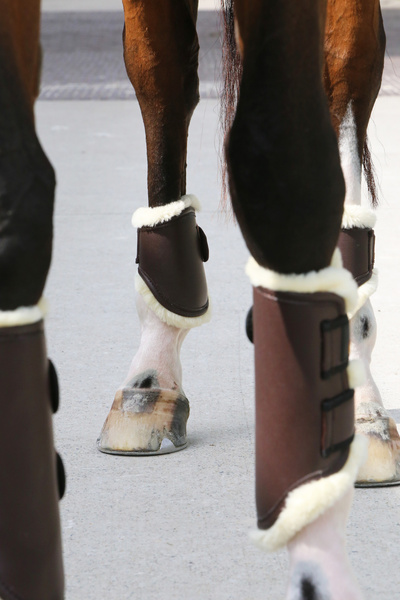 Ochraniacze ujeżdżeniowe z futrem Kentucky Horsewear Turnout Boots Leather - przody