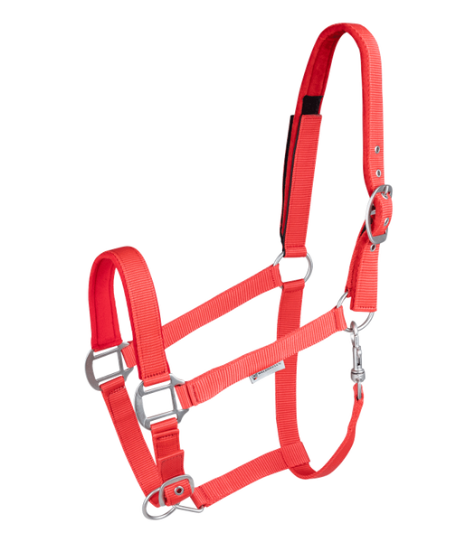 Kantar Waldhausen Safety Touch Tape