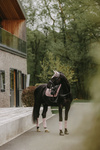 Czaprak ujeżdżeniowy Kentucky Horsewear Velvet Pearls