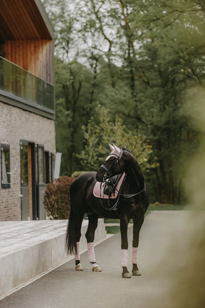 Nauszniki wyciszające Kentucky Horsewear Velvet Pearls