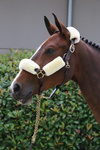 Zestaw futerek do kantara Kentucky Horsewear