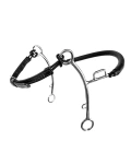 Hackamore Fager Hector