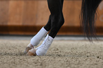 Ochraniacze ujeżdżeniowe Veredus Absolute Elastic - tyły