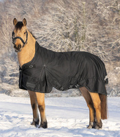 czarny