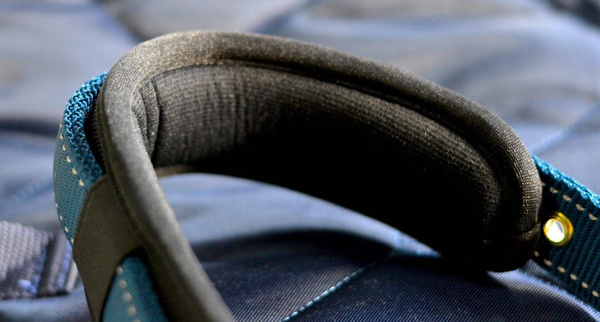 Kantar Stübben Reflecting