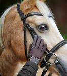 Rękawiczki jeździeckie ELT Estelle