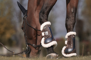 Ochraniacze przednie Veredus Carbon Gel Absolute Save The Sheep